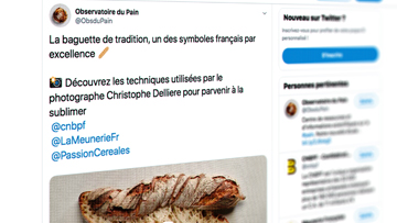 obsdupain-twitter-mini