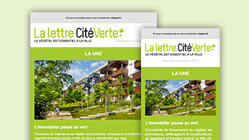 valhor-newsletter-mini